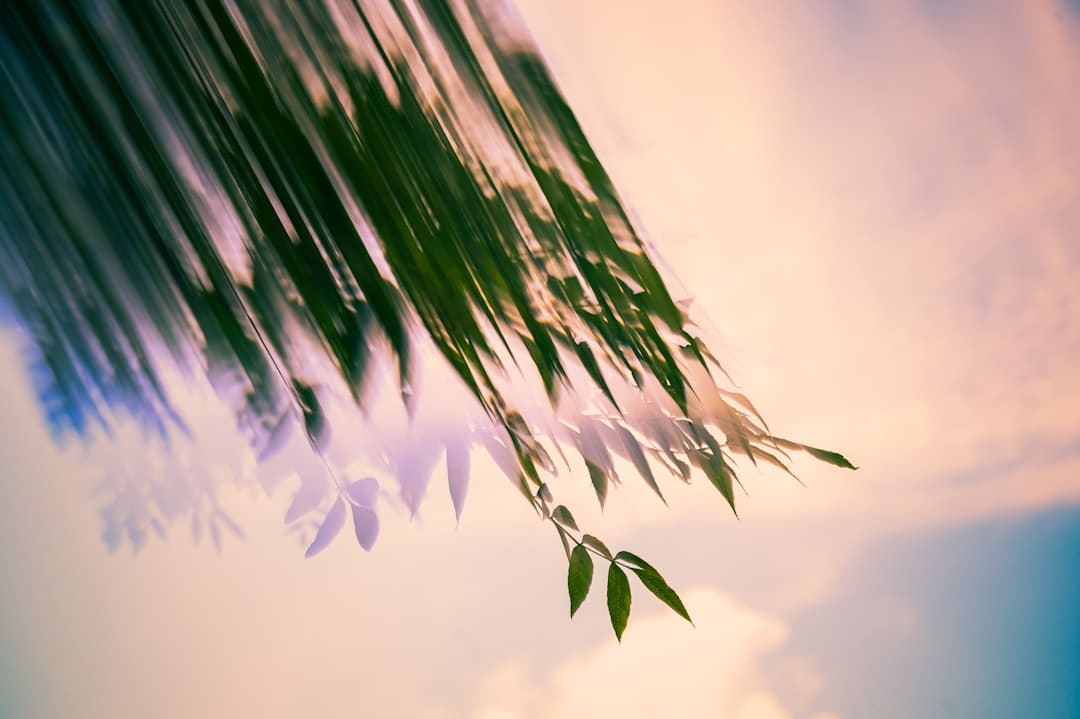 偏头痛是心脏出了问题 需警惕心脏隐患